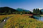 Menschen Radfahren weiter zu landschaftlich Mendenhall River Juneau Southeast Alaska-Sommer