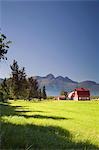 Original 30er Jahre Kolonie Scheune & Bauernhof w/Chugach Mountains Matanuska Valley Palmer South Central Alaska Sommer