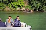 Guests of Redoubt Bay Lodge view Grizzly bears from pontoon boat in Wolverine Cove on Big River Lakes in   Redoubt Bay State Critical Habitat Area, Southcentral, Alaska