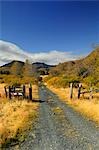 Unbenannte Straße durchquert schräg Überschrift in die Berge Kalsin Bay Kodiak Island in Alaska