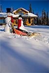 Large & small snowman ride on dog sled in deep snow in afternoon in front of log cabin style home Fairbanks Alaska winter