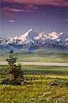 Male tourist views Mt.Silverthrone & Alaska Range near Wonder Lake Denali National Park Summer