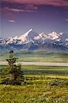 Touriste vues Mt.Silverthrone & Alaska Range près de Wonder Lake Denali National Park Summer