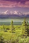 Mâle touristique Mt.Silverthrone & chaîne de l'Alaska près de Wonder Lake Denali National Park en Alaska été vue (s)