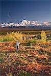 Un randonneur mature vues du Mont Mckinley & la chaîne de l'Alaska avec jumelles près du terrain de camping de Wonder Lake, Parc National Denali, en Alaska.