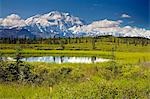 Mt.McKinley et la chaîne de l'Alaska avec étang de kettle au premier plan, vu de l'intérieur du Parc National Denali en Alaska l'été