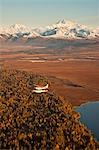 View of a Cessna 185 floatplane in flight with Mt. McKinley in the background, Southside, Southcentral Alaska, Fall