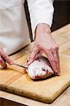 Chef masculin de préparation du poisson en cuisine commerciale