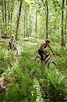 Zwei weibliche Radfahrer im Wald