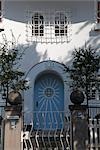 Art Nouveau front door, Munich