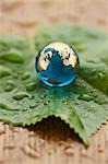 Close-up of Glass Globe on Leaf