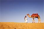 Man standing with a camel in a desert, Thar Desert, Jaisalmer, Rajasthan, India