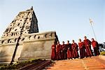 Mönche standing together, Mahabodhi Tempel, Bodhgaya, Gaya, Bihar, Indien