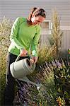 Woman Watering Flowers in Garden, Seattle, Washington, USA