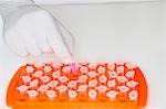 Lab worker adding violet liquid to test tubes in orange tray