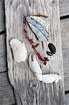 Beach combing objects on plank of wood