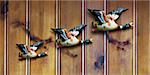 Trois canards décoratifs sur panneaux de bois
