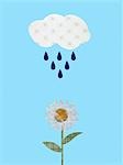 Nuage et pluie arrosage daisy