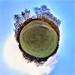 Park with little planet effect