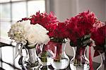 Close-up of Flowers in Vases