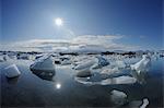 Gletschereis, Jokulsarlon, Südisland, Island