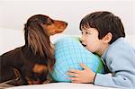 Miniature Dachshund und ein Junge entspannend