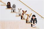 A Boy And Dogs On Stairs