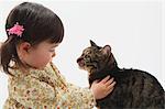 Japanische Katze und ein Mädchen