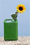 Tournesol et Jerry Can