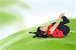 Boy Wearing Ladybird Costume