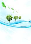 Trees on water and leaves