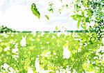 Grassland