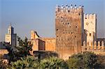 Remparts de la ville, Fès, Maroc