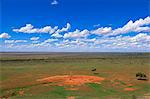 Abreuvoir, Parc National de Tsavo au Kenya