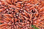 Carrots, Bordeaux, Gironde, Aquitaine, France