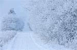 Route en hiver, Heidelstein, montagnes de Rhon, Bavière, Allemagne