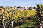 Vineyard of Chateau Saint-Georges, Saint-Emilion, Bordeaux, Gironde, Aquitaine, France