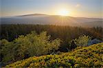 Brocken Mountain View du sommet Achtermann, Parc National du Harz, Basse-Saxe, Allemagne