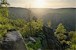 Bouba Gorge, Thale, District de Harz, Saxe-Anhalt, Allemagne