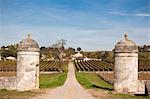 Château Saint-Georges pendant les vendanges, vin de SAINT EMILION, BORDEAUX, GIRONDE, AQUITAINE, propriété tout rejet,