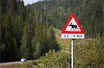 Moose Crossing Sign, Kviteseid, Telemark County, Norway