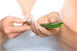 Aloe Vera leaf in woman's hand, close-up