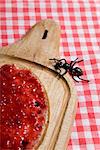 Fly on slat and Sice of Bread with jam