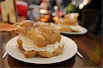 Close-up of Cream Puff, Goslar, Goslar District, Harz, Lower Saxony, Germany