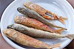 Fried Sardines, Pantelleria, Province of Trapani, Sicily, Italy