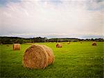 Bales of Hay in Field, Ontario, Canada