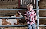 Garçon dans la grange avec vache