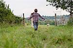 Boy herding cow into field