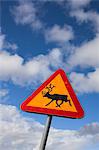 Warning Sign for Reindeer Crossing, Sweden