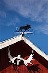 Weather Vane and Moose Antlers on Red Wooden Garage
